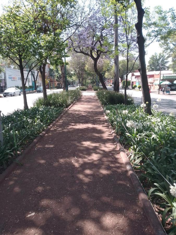 Coyoacan Departamento Tipo Colonial Mexiko-Stadt Exterior foto